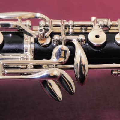 Buffet Crampon made in paris pro model E45 Clarinet | eBay