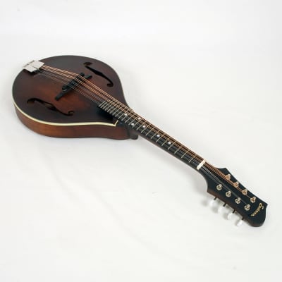 Eastman MD305 All Solid Wood A Style Mandolin With Gig Bag #02238 @ LA Guitar Sales image 1