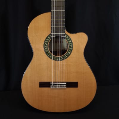 Alhambra 5P CT E2 Thinline Acoustic Electric Classical Nylon String Guitar w/Bag image 6