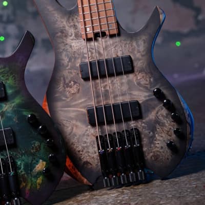 Carvin AC-50 5 String Fretless Acoustic-Electric Bass Guitar