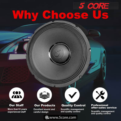 5 Core 15 Inch Subwoofer 3000W PMPO 300W RMS Big Raw Replacement PA DJ Speakers 8 OHM Pro Audio System Loud and Clear Sound 15-185 MS 300W image 14