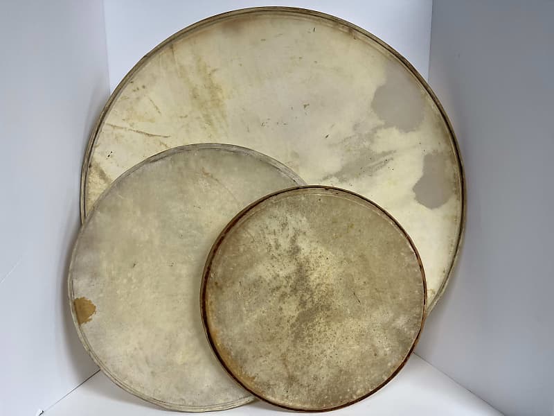 Vintage Calfskin drum heads for drum set (13", 16", 24") image 1
