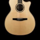 Taylor 814ce-N #81078 (Factory Used)