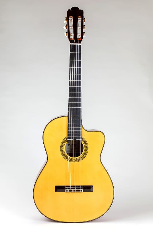 Pavan  TP-30 Acoustic Cutaway Spanish Classical Guitar- All Solid Woods, Handcrafted in Spain image 1