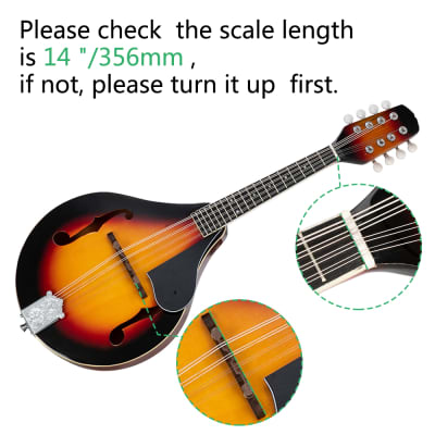 A Style 8-String Acoustic Mandolin with Pick Guard 2020s Sunset image 19