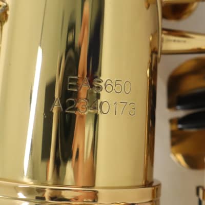 Eastman Model EAS850 Professional Alto Saxophone 'Rue Saint-Georges' GORGEOUS image 11