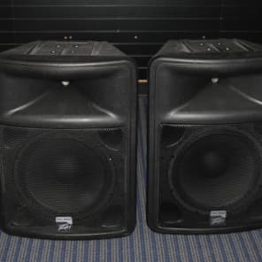 Peavey pr15d online