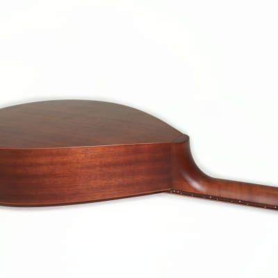 New Acoustic 12 Strings Lute Guitar Kobza Vihuela made in Ukraine Trembita Hand Painted Folk Musical Instrument image 8