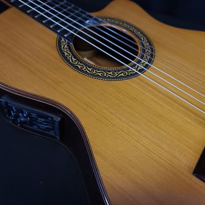 Jose Ramirez Estudio Studio Cutaway 1 Nylon String Classical Guitar w/ Logo'd Hard Case image 10