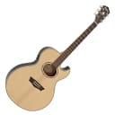 Washburn EA20SNB Festival Series Florentine Nuno Bettencourt Solid Sitka Spruce Top Mahogany Neck 6-String Acoustic-Electric Guitar