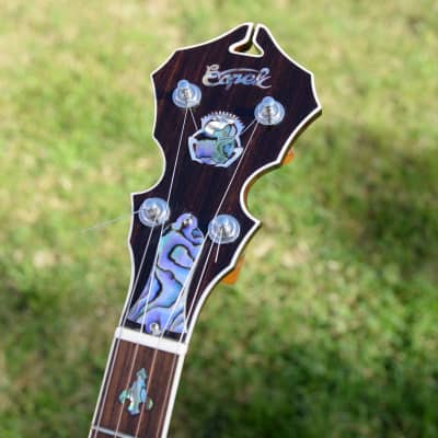 Capek Scarab five string (flathead + archtop tone ring) image 4