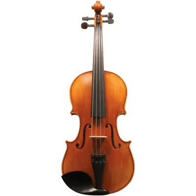 Maple Leaf Strings Apprentice Collection Violin Outfit 4/4 Size MLS130 image 1