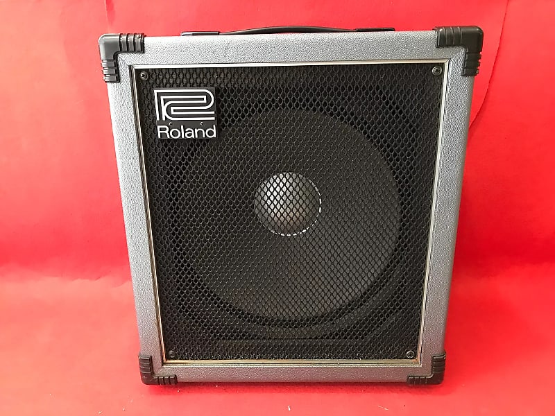Roland SCB-100 Super Cube 100-Watt 1x15" Bass Combo image 1