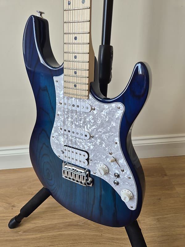 FGN Expert Odyssey EOS-ASH-M - See-Thru Blue Burst | Reverb