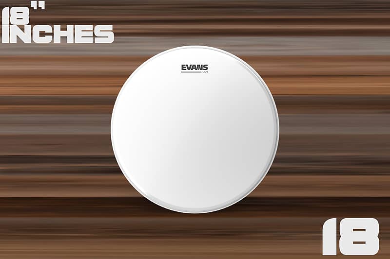 Evans uv1 drum deals heads