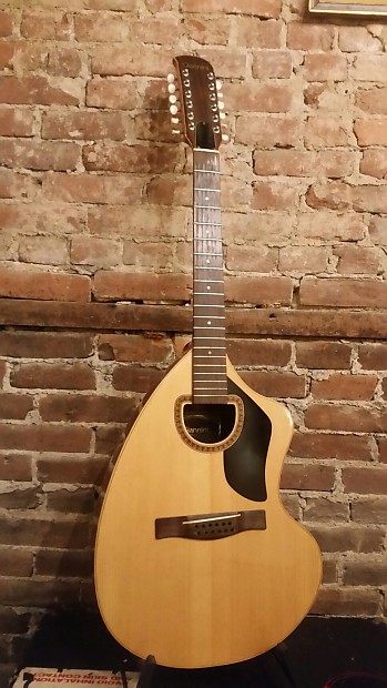 Giannini Vintage 12 String Acoustic Guitar Project AWKS 12 70s