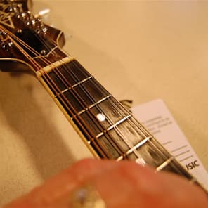 Alvarez 1981 Two-Point Mandolin - Made In Japan image 9