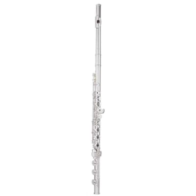 Trevor James Cantabile Flute Outfit - Straight Head. CT Trad