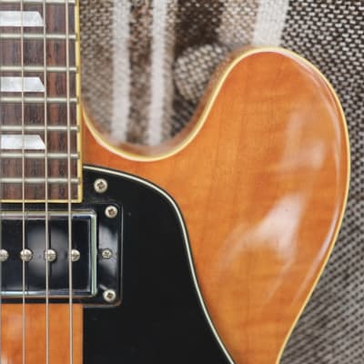 EPIPHONE NICK VALENSI RIVIERA P-94 (MODEL ELRV) for sale