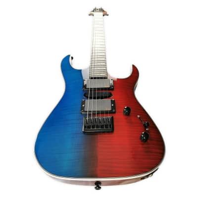 Palm Bay Guitars - Avalanche AXX Custom EMG + case image 6