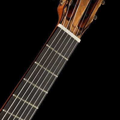 Raimundo 133 Ebano Blanco Classical Guitar White Ebony Cedar image 15