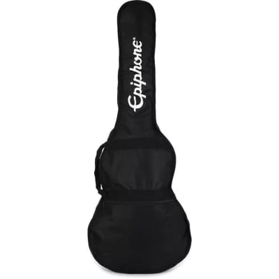 Explorer guitar gig bag hot sale