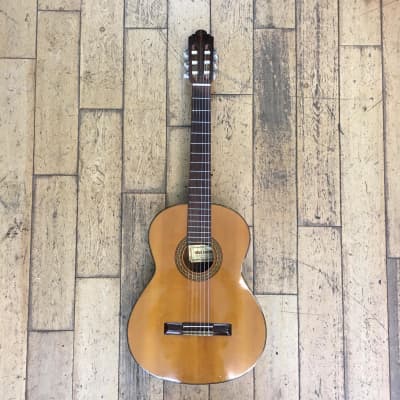 SHINANO acoustic guitars, classical guitars