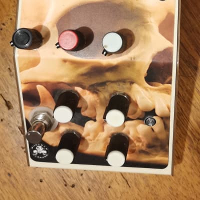 ギター Audible Disease Palindrome PD-1 Audible Disease Palindrome PD 1 - Free Shipping* | Reverb