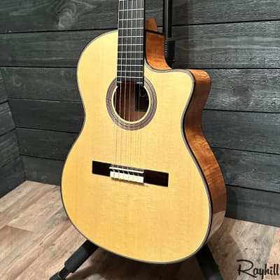 Cordoba Fusion 14 Maple Spruce Top Nylon String Acoustic-Electric Guitar image 3
