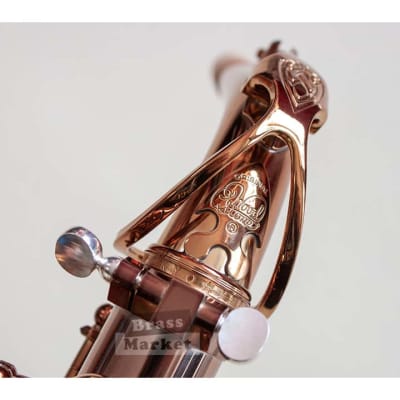 Saxo alto Wood Stone Ishimori Super Custom VL image 12