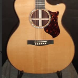 Martin Performing Artist Series GPCPA1 Plus | Sweetwater