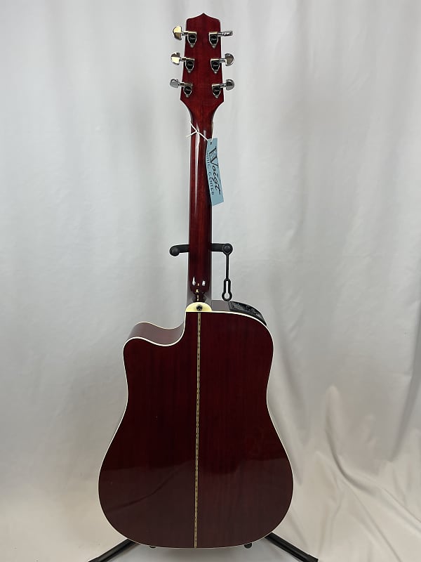 oasis ノエル ギャラガー EF325SRC エレアコ ギター タカミネ 2025年