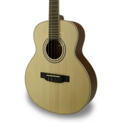 APC Carvalho TG-100 - Guitare acoustique Tenor for sale