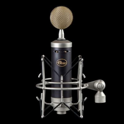Blue Baby Bottle SL Large Diaphragm Cardioid Condenser Microphone | Reverb