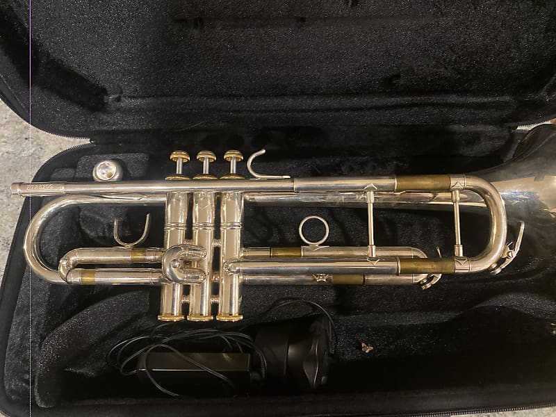 Eastman ETR520G - Silver with Gold trim image 1