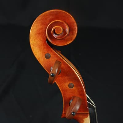 The Luthier Shop Adjusted 4/4 Size Beautiful Cello w/ Fiberglass Blue Case image 4