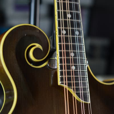 Lebeda F5 Standard+ Mandolin 2005 - Tobacco Sunburst image 8