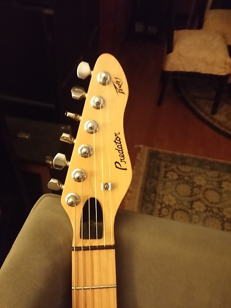 Peavey Predator 1991 Aged White For 180 total steal