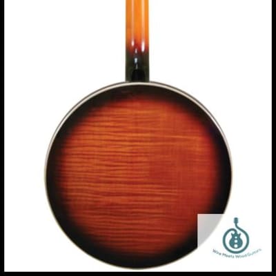 Gold Tone OB-250 Orange Blossom Special 5-String Banjo w/case, Mint image 2
