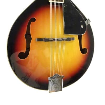 Lucky Penny A-Style Acoustic Bluegrass Mandolin in a Violinburst FInish image 3