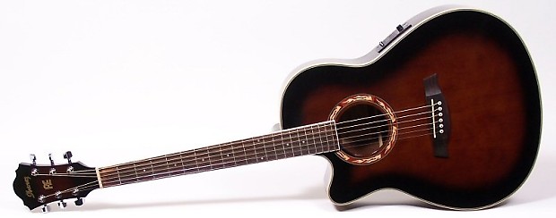 Ibanez aef18e outlet