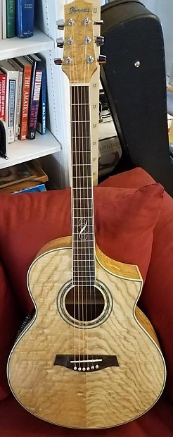 Ibanez ew20ase used 2025