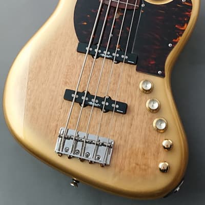 Alleva Coppolo 2020 Namm Show Limited Edition LG5 -GDR- [GSB019] image 1