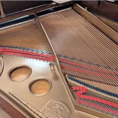 Unique Hamburg Steinway & Sons O Grand Piano Fully Restored from 1906 image 6