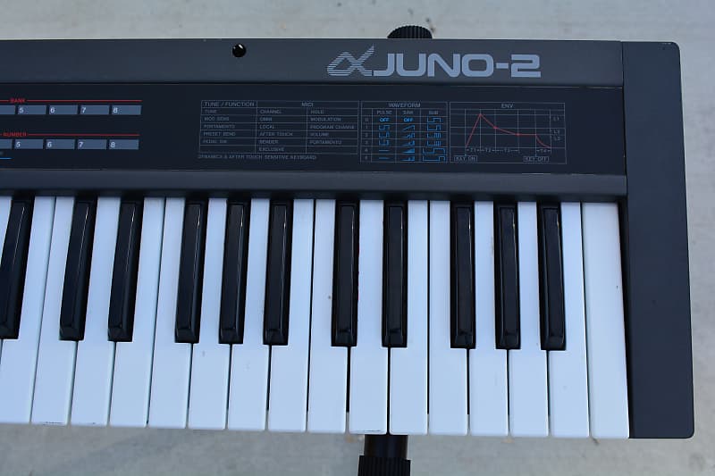 Roland Alpha Juno-2 61-Key Programmable Polyphonic Synthesizer