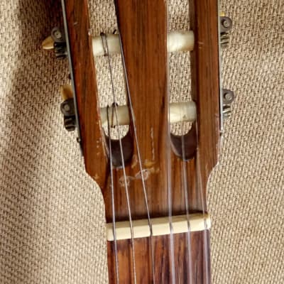 Giannini Guitars Acoustic, Model No. 900 - Classical 1968 image 4