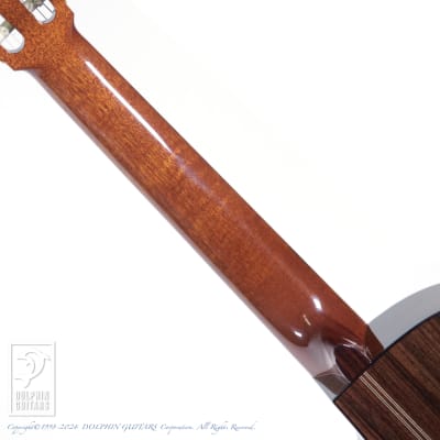 ASTURIAS Solo Classico S | Reverb