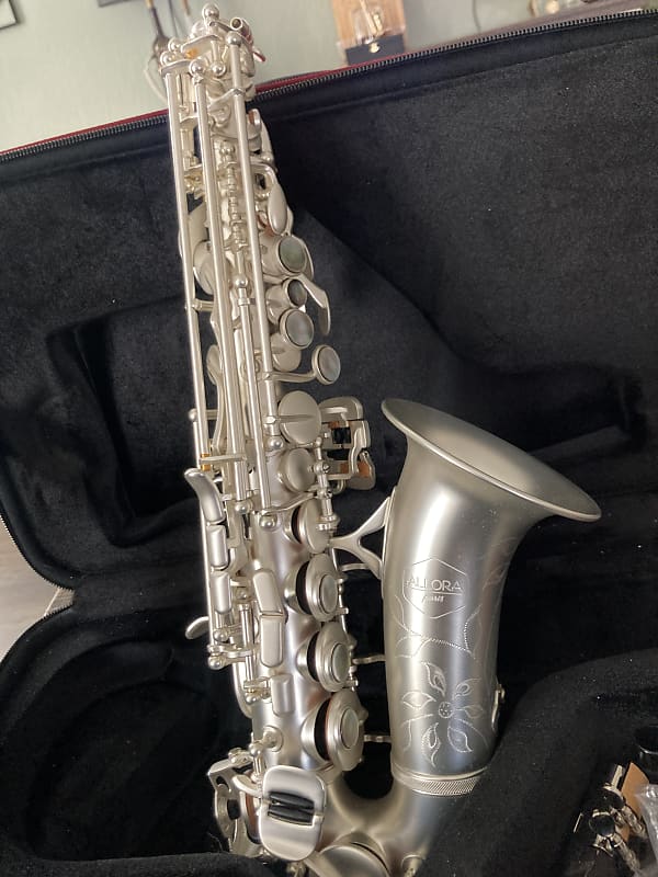 Allora Paris Series Model ASPS-550 Curved Soprano Saxophone Silver Plated image 1