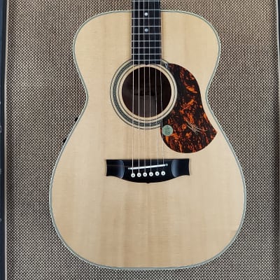 EBG808 Artist - Maton Guitars - Power & Punch