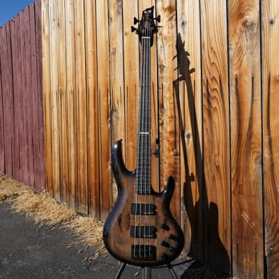 ESP BTL-4 - Black Natural Burst 4-String Electric Bass Guitar w/ Case (2024) image 3
